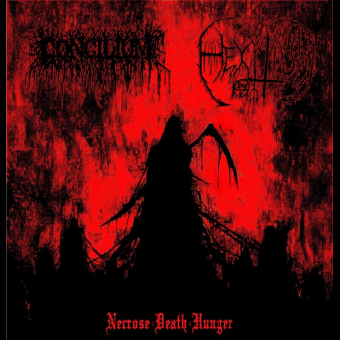 HEXITIUM / CONCILIUM Necrose Death Hunger SPLIT [CD]